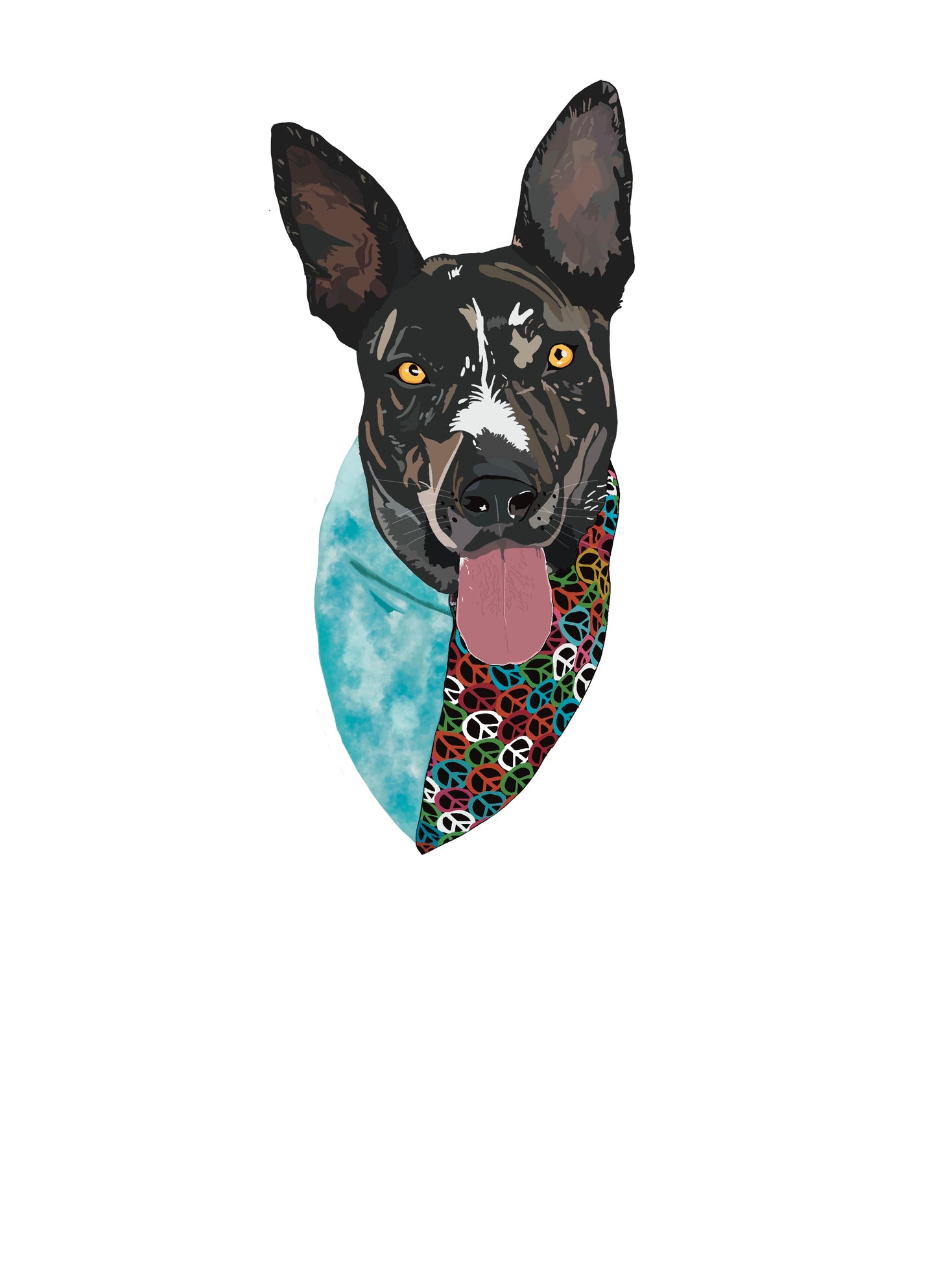 Pet Portraits