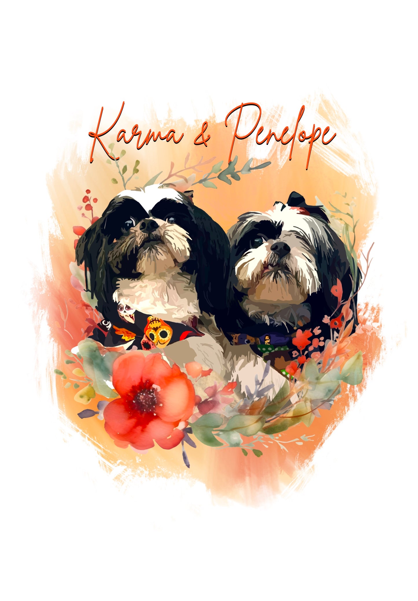 Pet Portraits