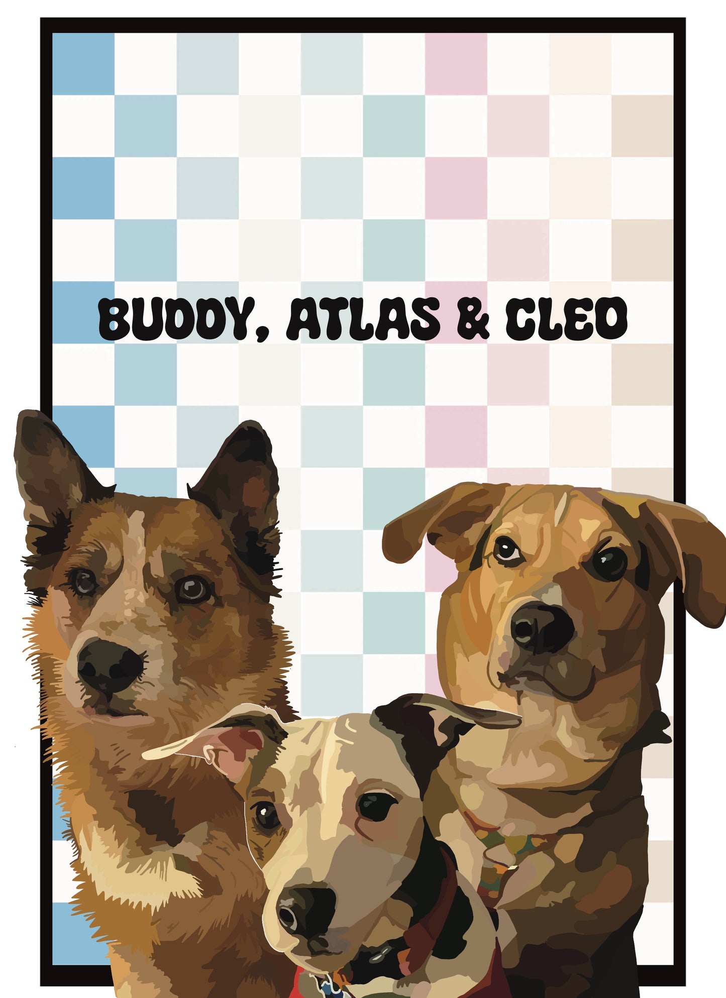 Pet Portraits