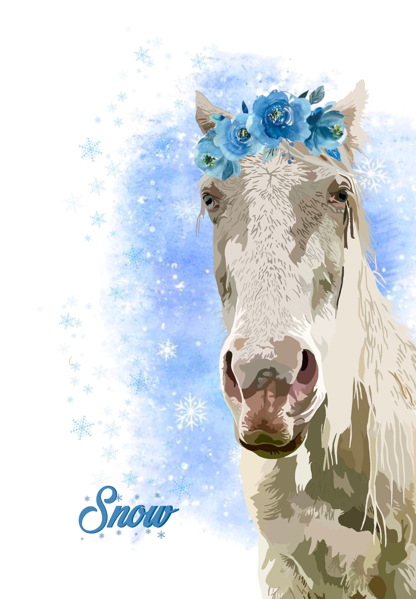 Pet Portraits