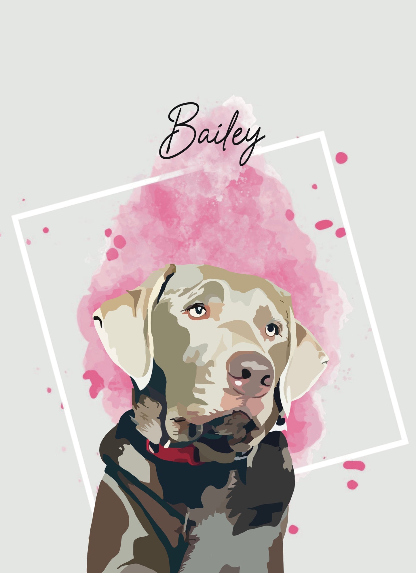 Pet Portraits