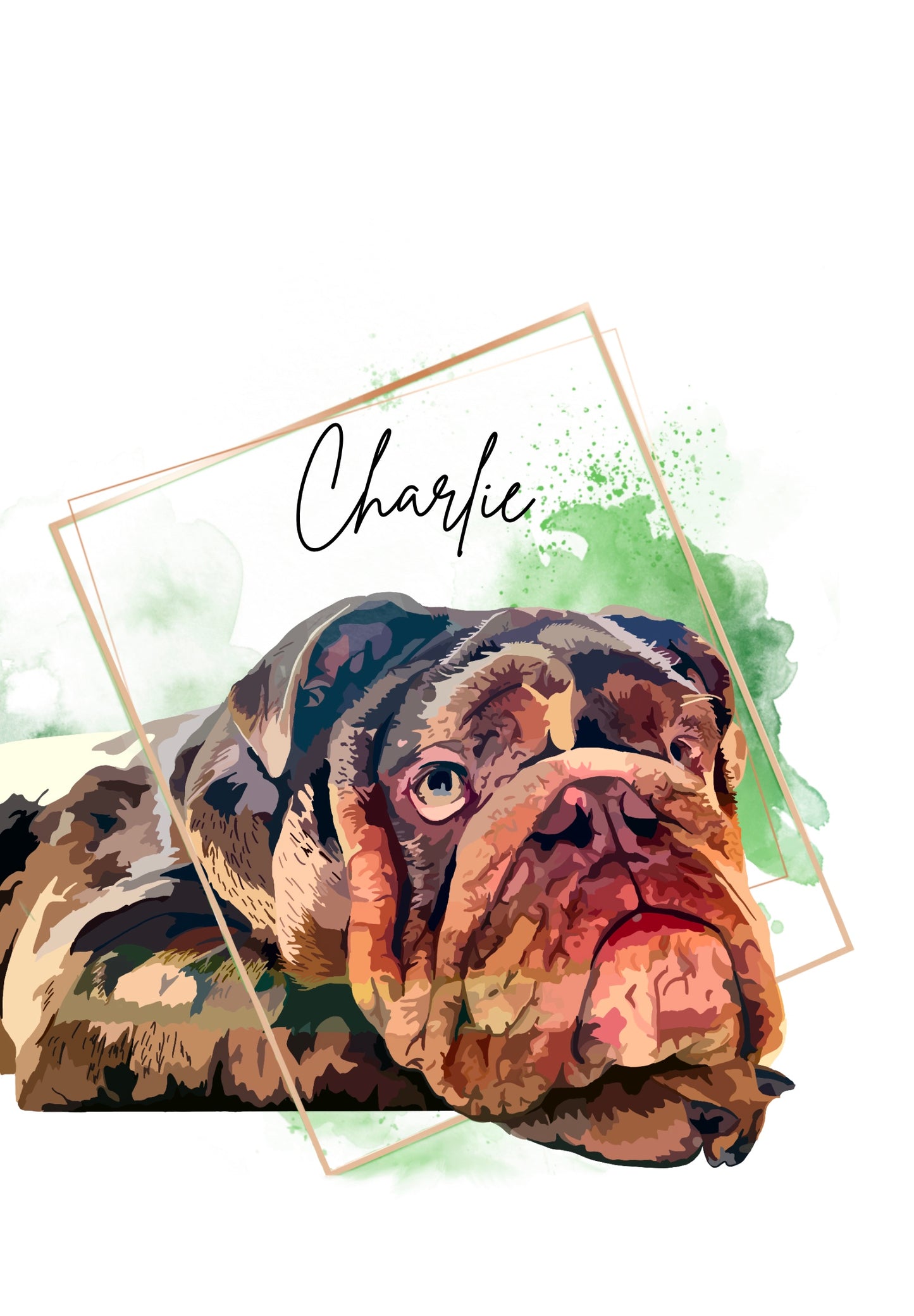 Pet Portraits